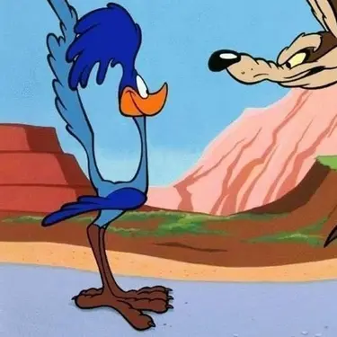 Road Runner PFP