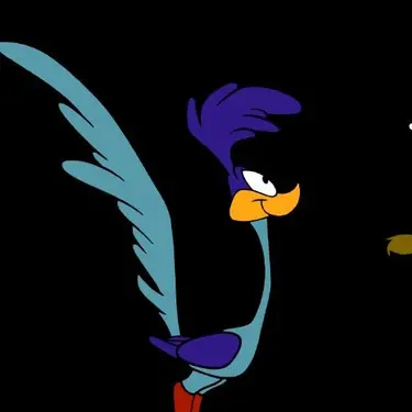 Road Runner PFP