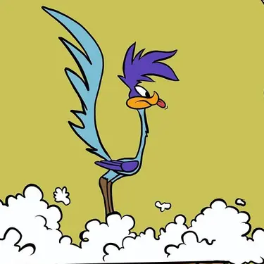 Road Runner PFP