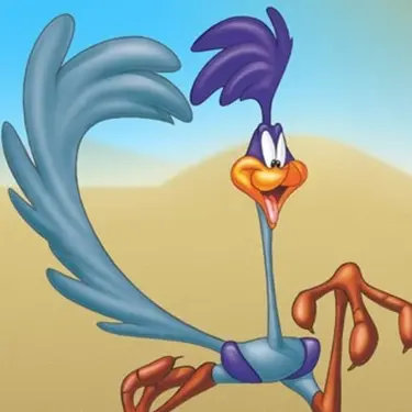 Road Runner PFP