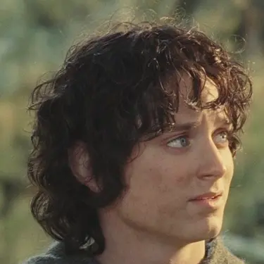 Frodo PFP