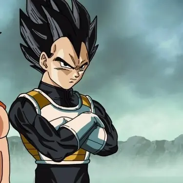 Vegeta PFP