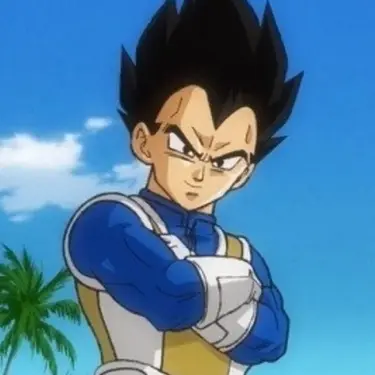 Vegeta PFP