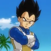 Vegeta Matching PFP